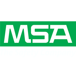 Msa