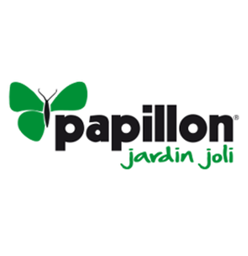Papillon